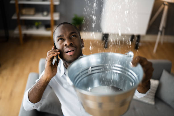 Best Fire Damage Restoration  in Bling, AR