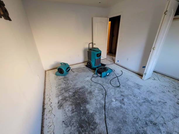 Best Emergency water damage restoration  in Bling, AR