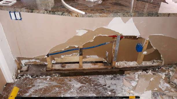 Best Ceiling water damage repair  in Bling, AR