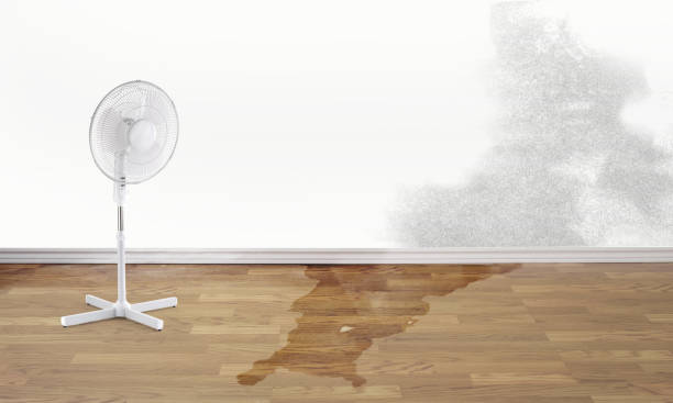 Best Basement water damage restoration  in Bling, AR